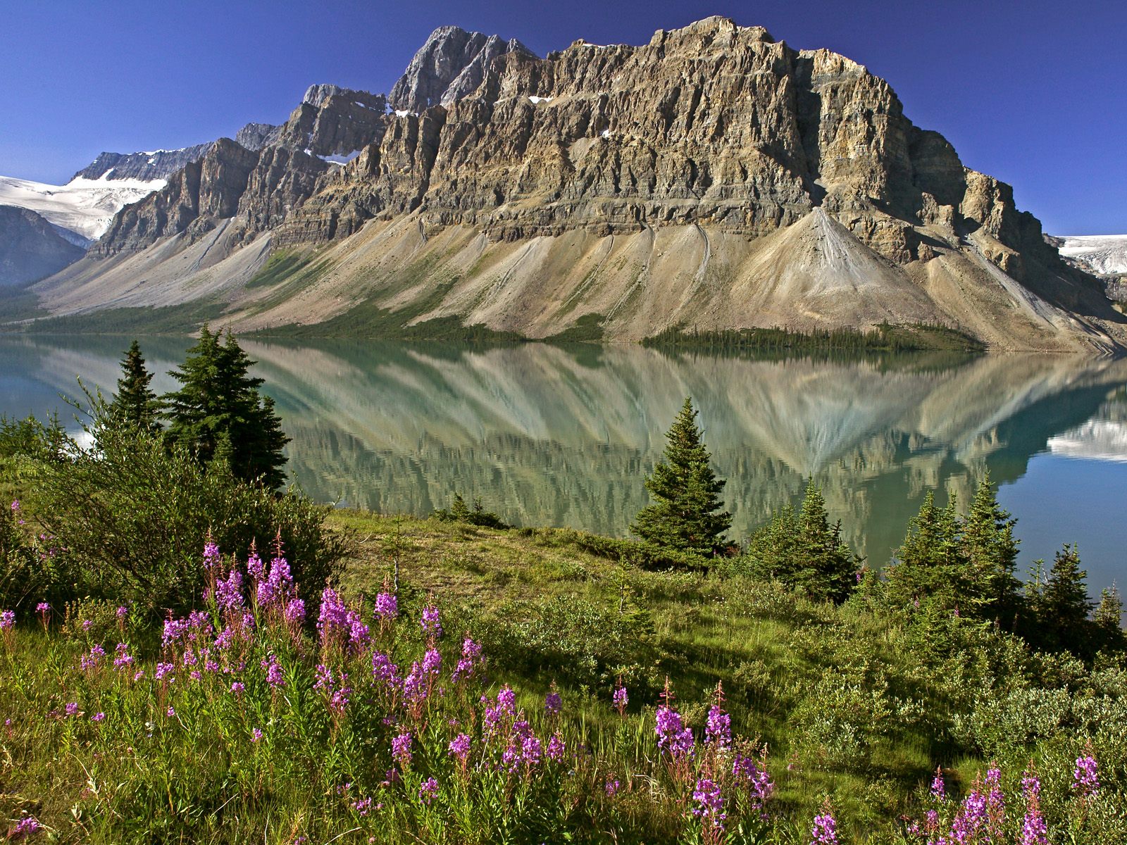 http://www.citypictures.org/data/media/195/Bow_Lake_and_Flowers_Banff_National_Park_Alberta_Canada.jpg