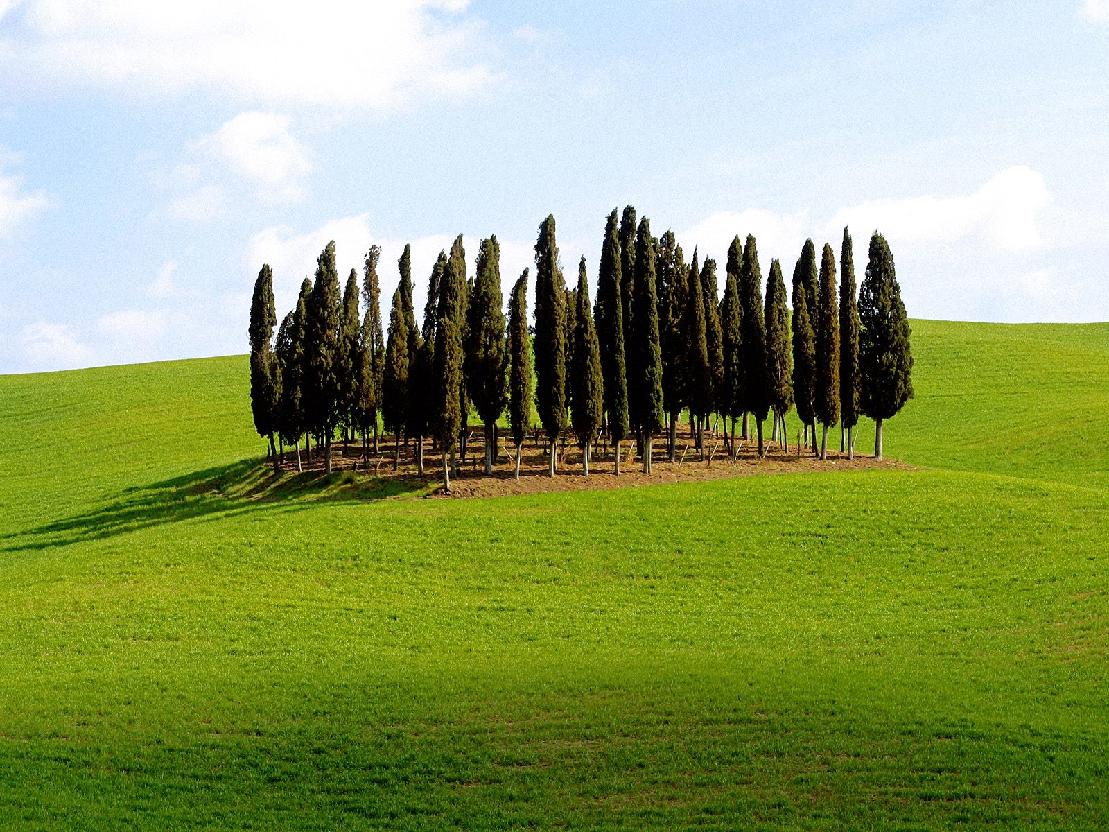 Scenic Siena Province Tuscany Italy photo or wallpaper