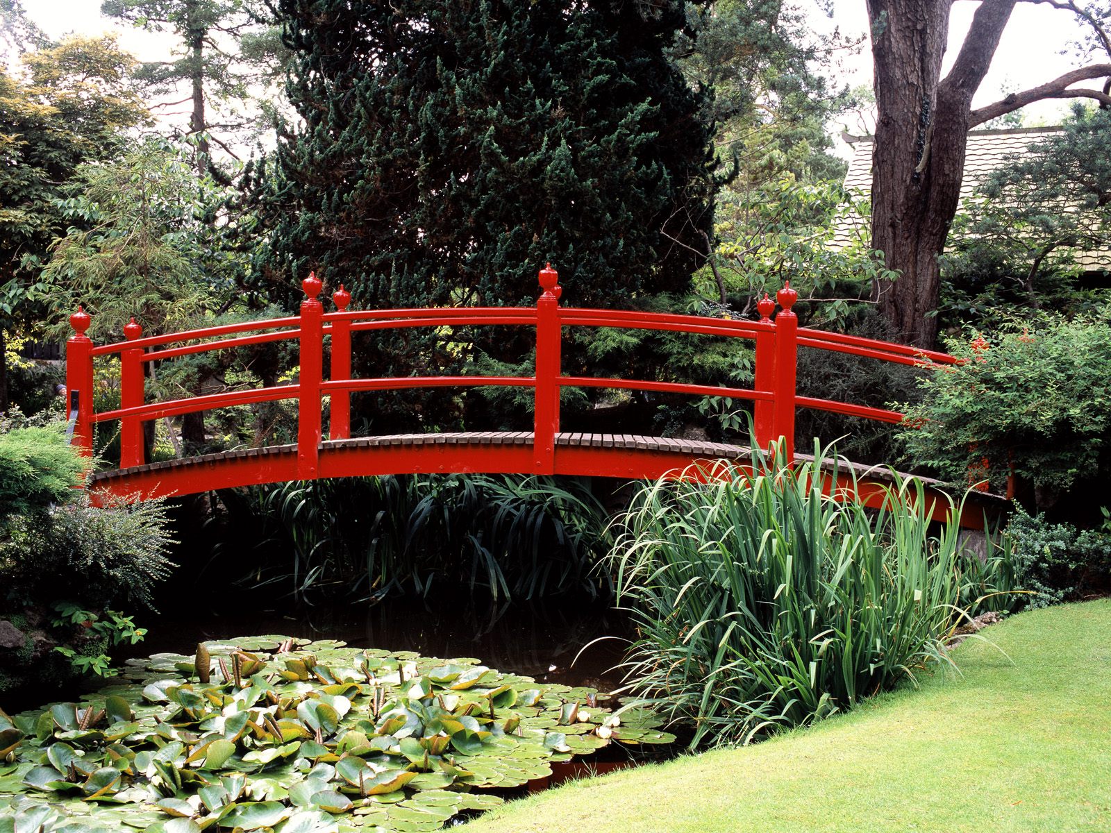 Japanese Garden County Kildare Ireland