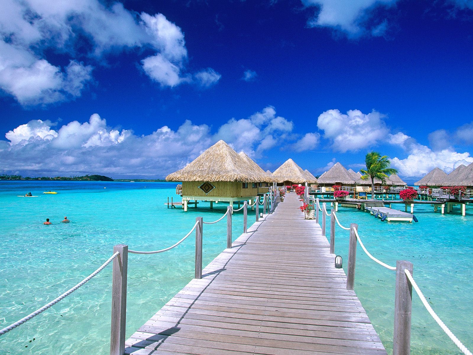 Tropical Paradise wallpapers