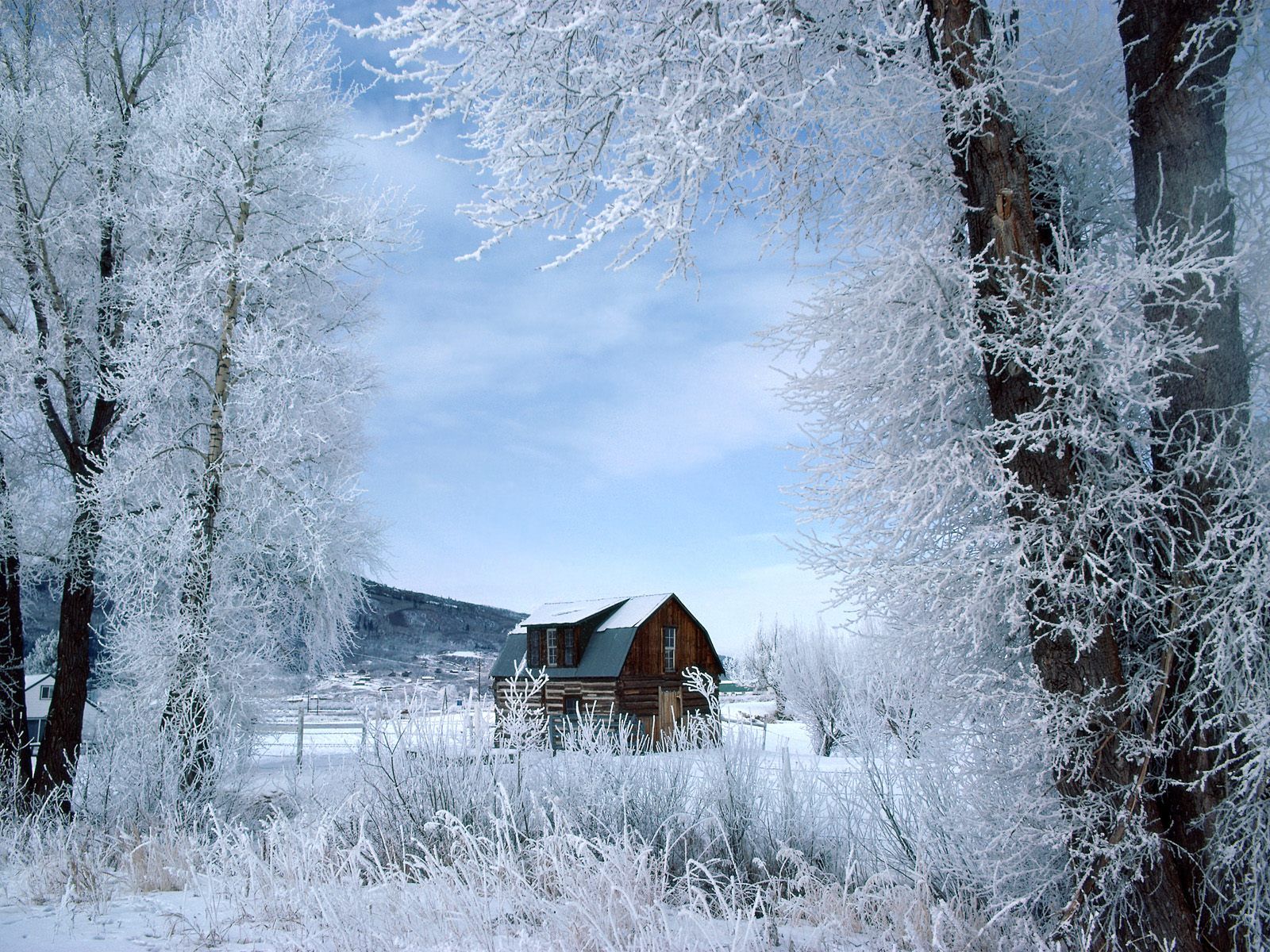 Winter Wonderland Steamboat Springs Colorado photo or wallpaper