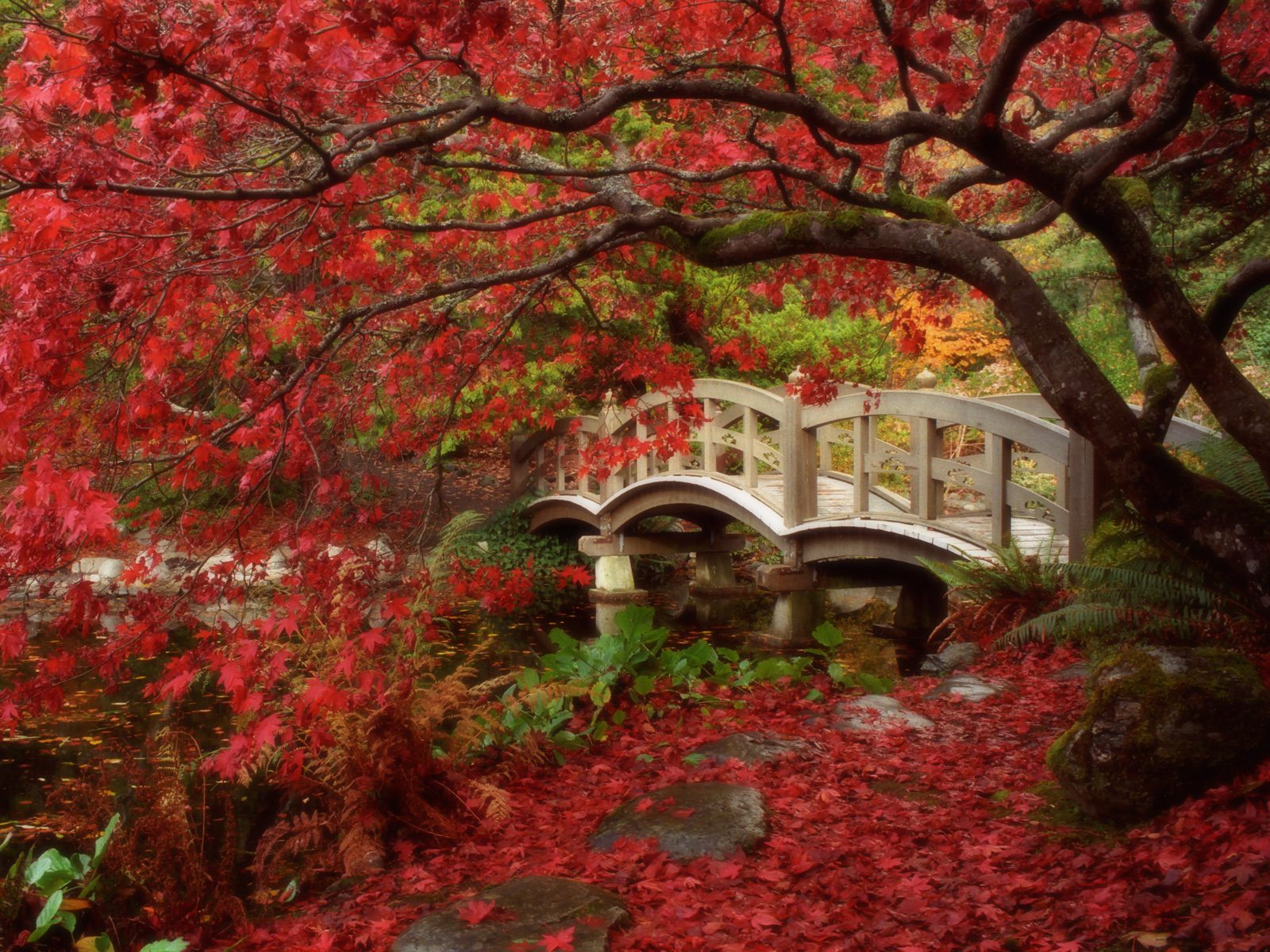 Japanese Garden Royal Roads University British Columbia