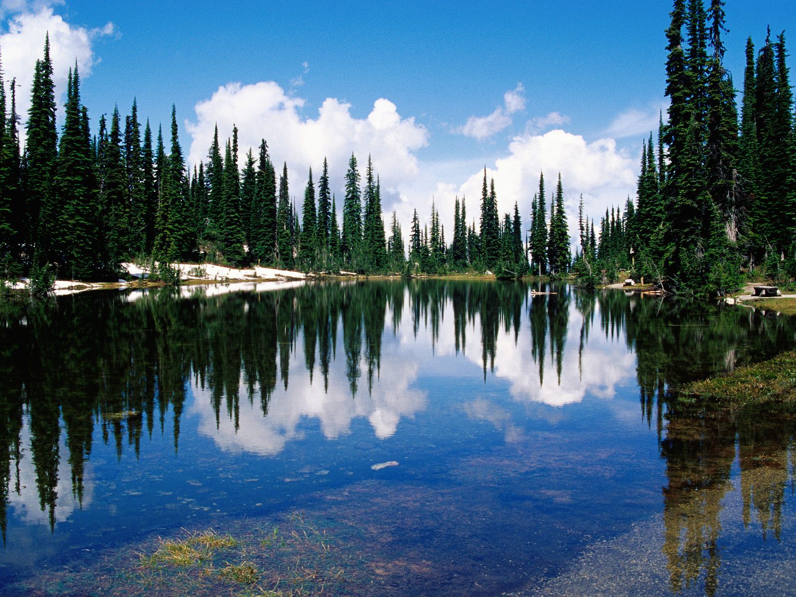 Balsam Lake Mount Revelstoke National Park British Columbia Canada