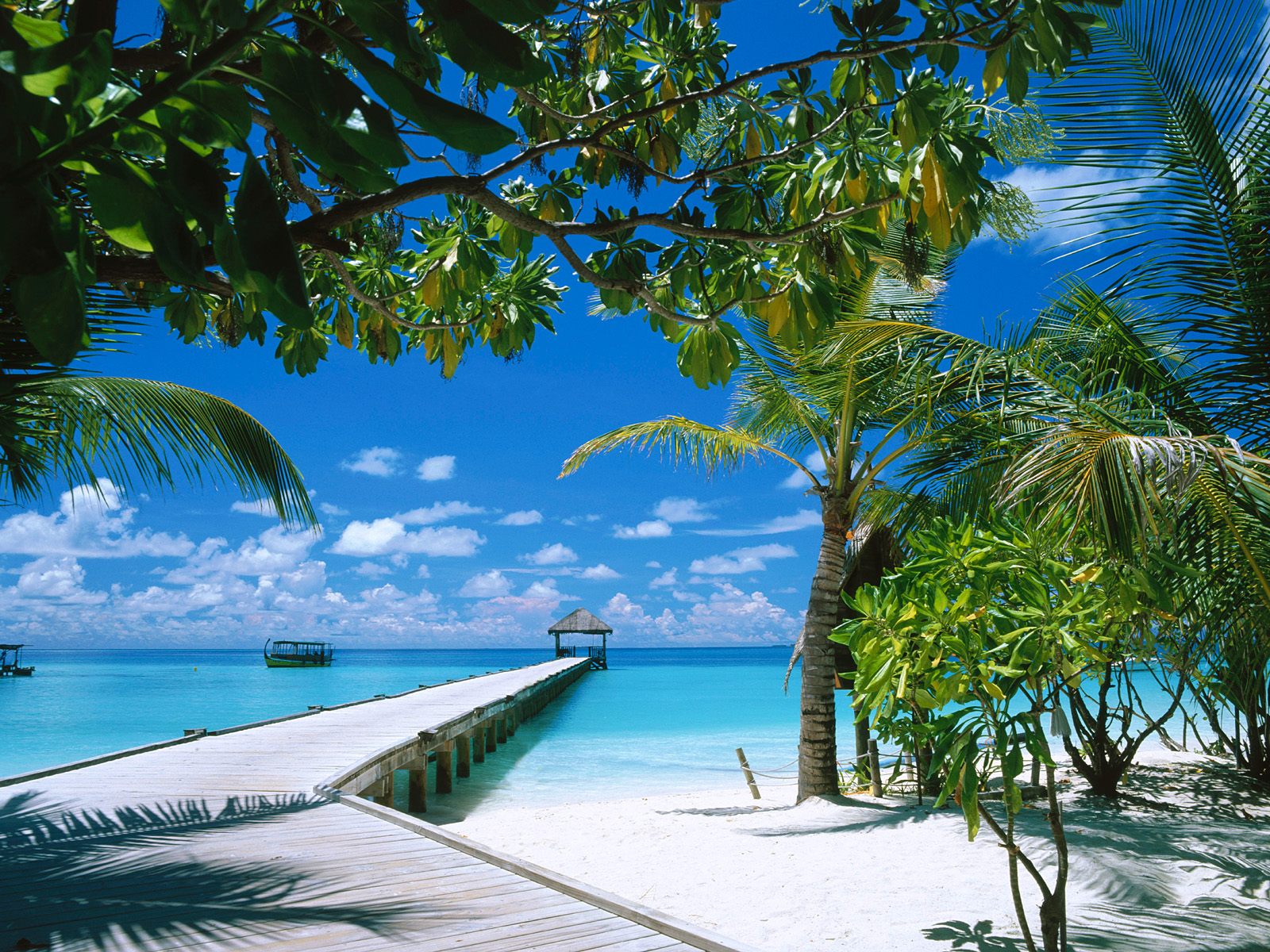 Ari Atoll Maldives