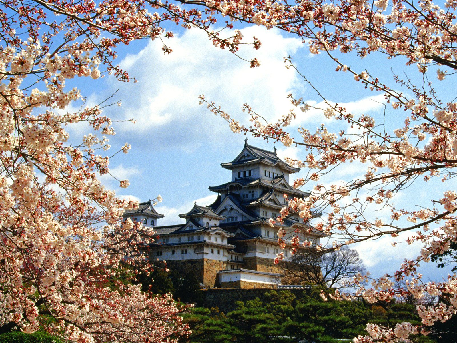 Himeji-jo Castle Himeji Kinki Japan