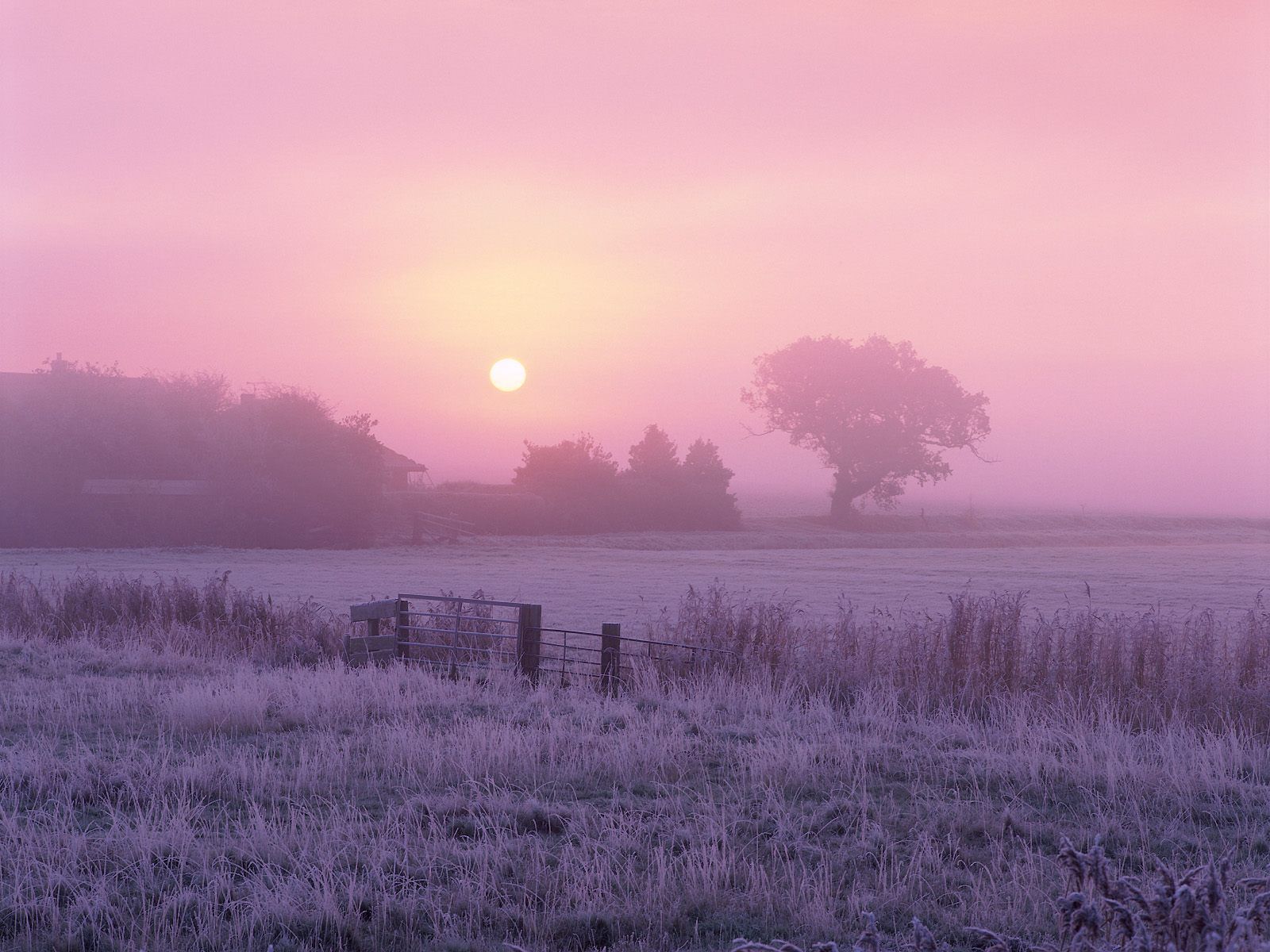 Sunrise Over Frosty Farmland Norfolk England