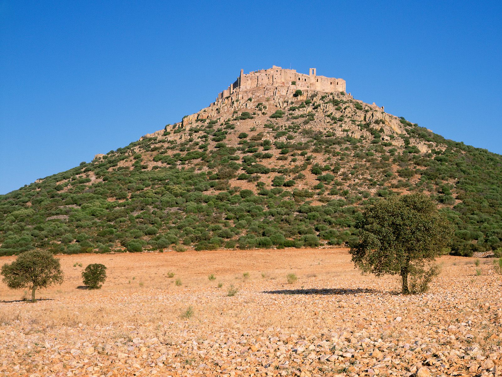 Ruins of Castle-Monastery of Calatrava La Nueva La Mancha Spain
