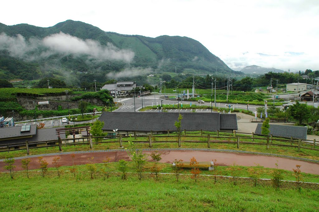 Yamanashi View