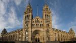 natural history museum 1366 x 768