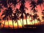 Hawaiian Sunset Hawaii