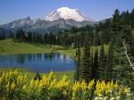 Natural Beauty Mount Rainier National Park Washington