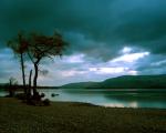 solitarytree Scotland