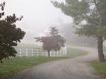 Manchester Horse Farm on a Foggy Morning Lexington Kentucky