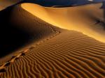 Footprints Namib Desert Namibia Africa