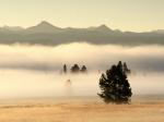 Fog at Sunrise Pelican Valley Yellowstone National Park Wyoming