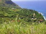 Pitcairn-scene