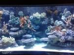 pasific Aquarium