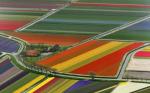 holland-tulip-gardens
