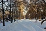winter snowy town park in samara russia